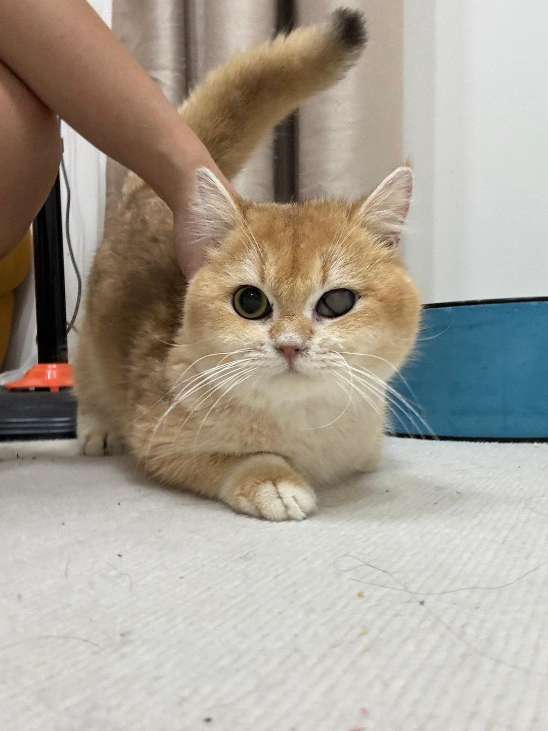 愛你唷 的照片