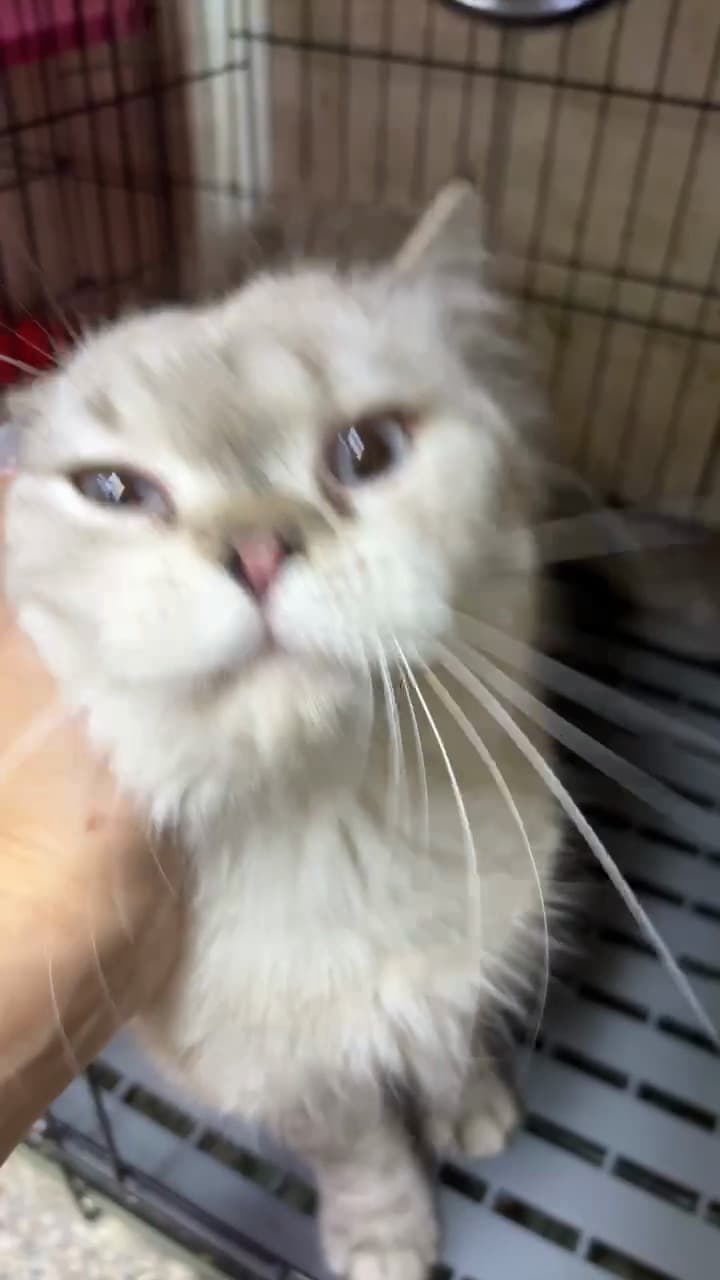 待命名 的照片